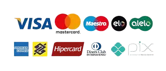 Ícones das principais bandeiras de cartões de crédito e formas de pagamento aceitas, incluindo Visa, Mastercard, Maestro, Elo, Alelo, American Express, Banco do Brasil, Hipercard, Diners Club e Pix.